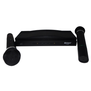 Set 2 Microfoane Wireless WVNGR
