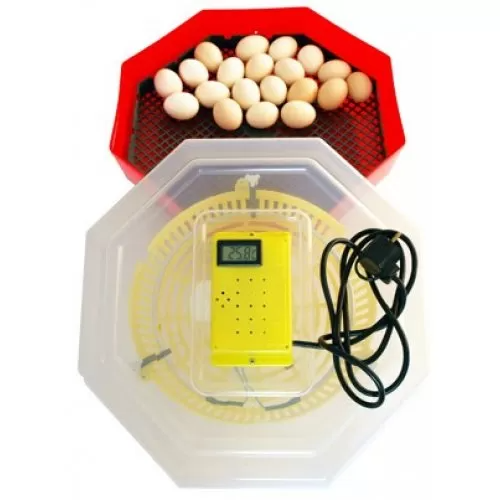 PRODUS RESIGILST- Incubator electric cu termometru Cleo5T - 60 oua gaina