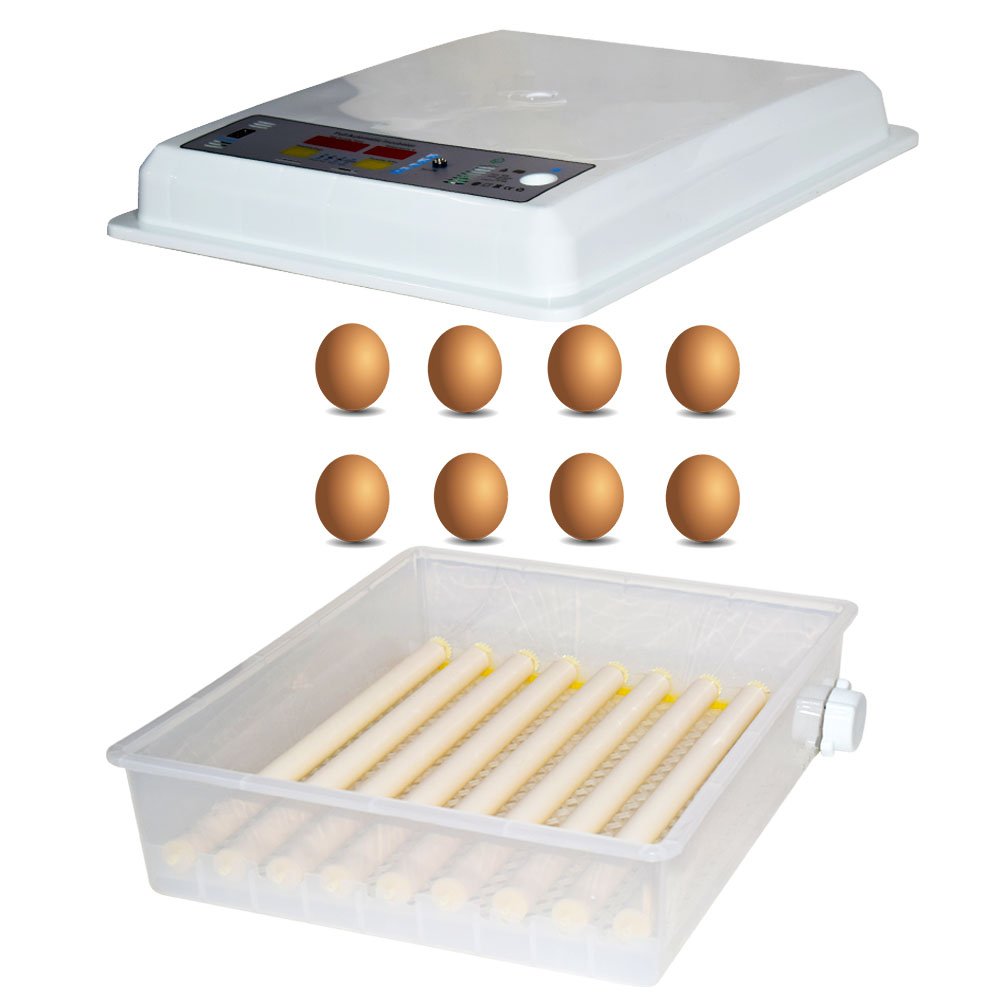 Incubator automat MS-36 oua Model 2022