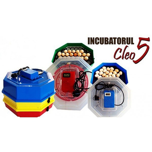 Incubator electric  Cleo5  simplu - 60 oua gaina
