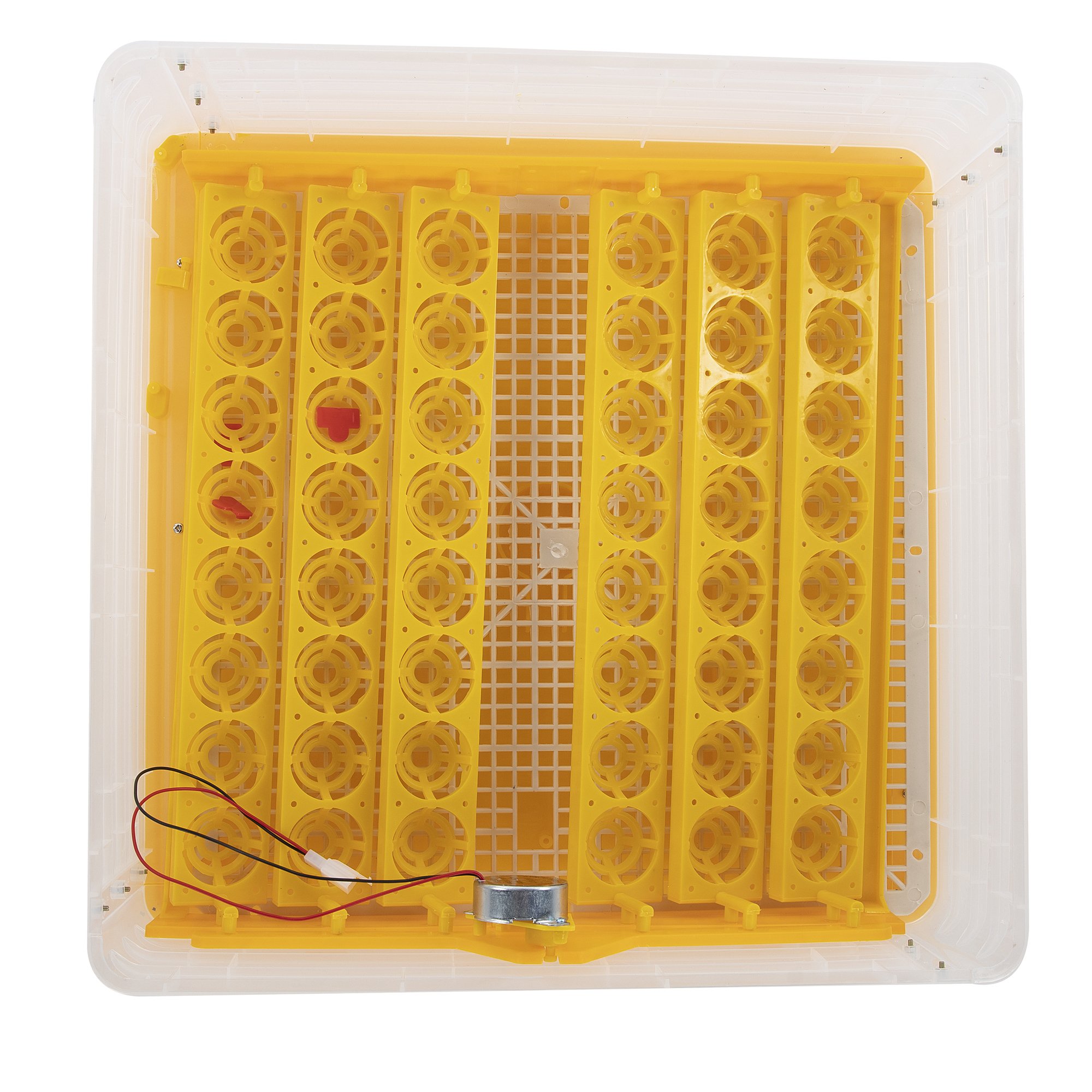 Incubator automat 48 oua gaina sau 132 prepelita